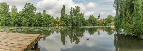 A lake with a tree in the background. The water is calm and still. A building can be seen in the