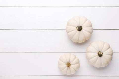 White decorative pumpkins Baby Boo on the white wooden background, flat lay with copy space