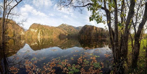 Autumn atmosphere at Krottensee, Schafberg in the background, near Sankt Gilgen, Salzkammergut,