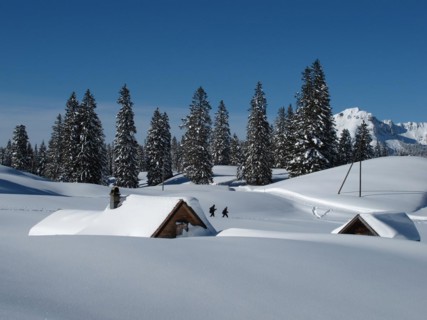 Winter scene in Toggenburg, huts and trees, snow