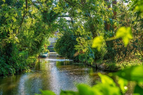 The Spree on the outskirts of the city