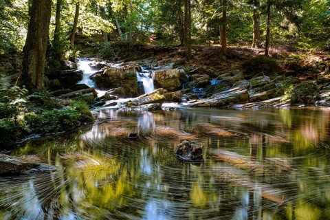 Selketal Harz Selke Waterfall