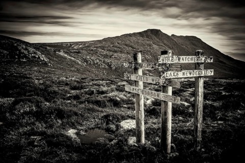 Sign posts at Mt Field National Park, Tasmania, Australia, Oceania