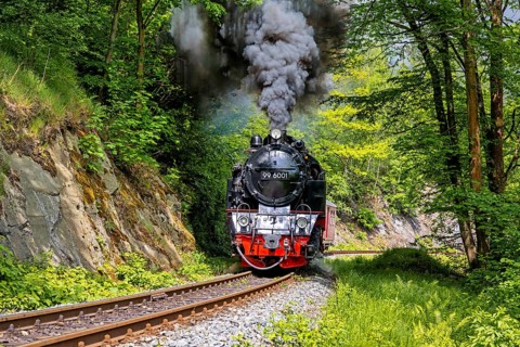 Selketalbahn Railway Romanticism in the Selketal Harz Mountains
