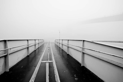Foggy autumn day in the n