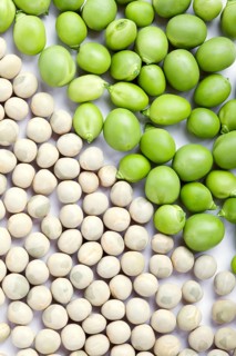 Fresh green and dried peas with cropping frame on white background