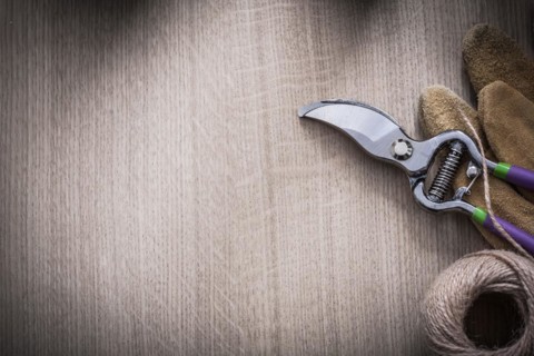 Brown leather gardening gloves secateurs and rope on wooden board copy space image agriculture