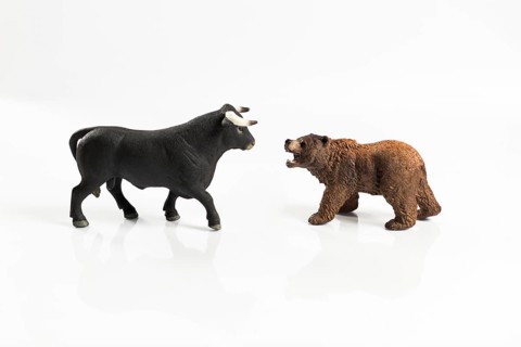 Stock market, securities trading and capitalism concept with a bull and bear concepts. On white