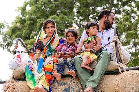 Elephant ride, tourists, palace of Mysore, Mysore, Karnataka, South India, family riding on an