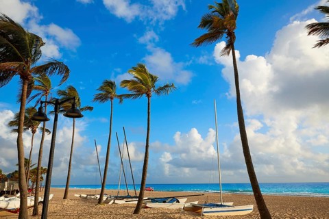 Fort Lauderdale beach morning sunrise in Florida USA palm trees