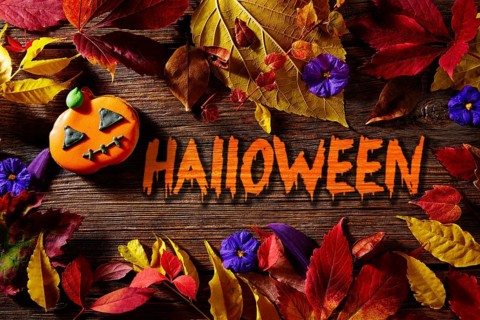 Halloween written word in pumpkin fall background with autumns red golden leaves