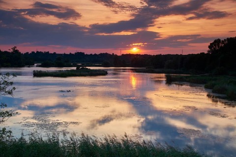 Garstadt bird sanctuary, district of Schweinfurt, Lower Franconia