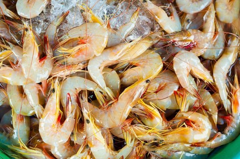 Many raw shrimps on ice for sale