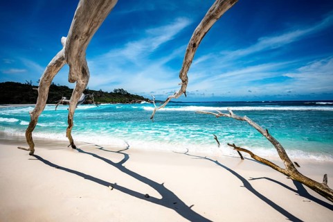 Driftwood and sandy beach on a clear tropical ocean with blue sky and waves, La Digue, Seychelles,