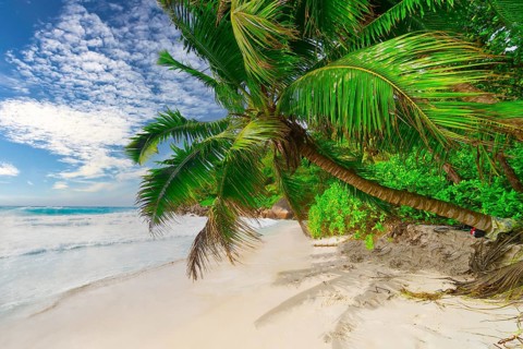 The Beach Anse Georgette at Praslin Island, Seychelles, Indian Ocean, Africa
