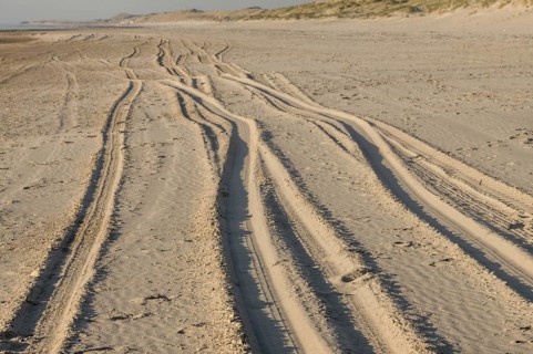 Parallel tire tracks crossing a sandy beach towards dunes on a sunny day