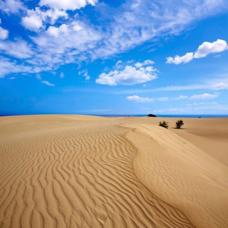 Corralejo dunes Fuerteventura desert at Canary Islands of Spain