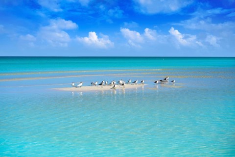 Caribbean turquoise perfect beach in Riviera Maya of Mexico