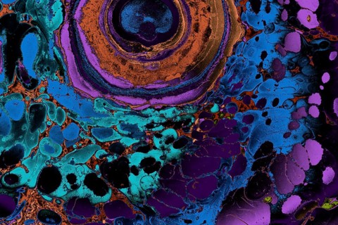 Ebru marble conch effect surface pattern design for print