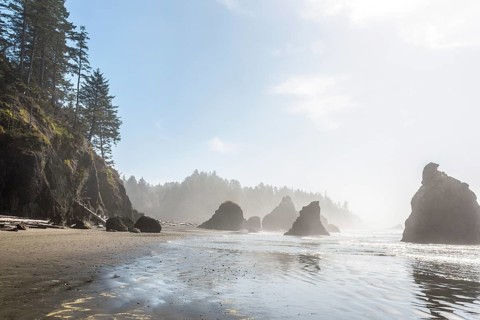 Famous Ruby Beach on the Pacific coast, Olympic National Park, USA, North America