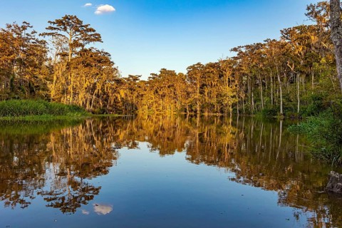 Magnificent reflections in the mirror water. Sunset. New Orleans area. Swamps of Louisiana. Journey