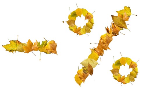 Percents sign made of autumn leaves. White isolated. Sales conseption