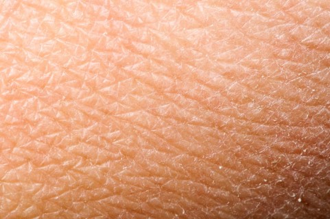 Human skin close up. Structure of Skin