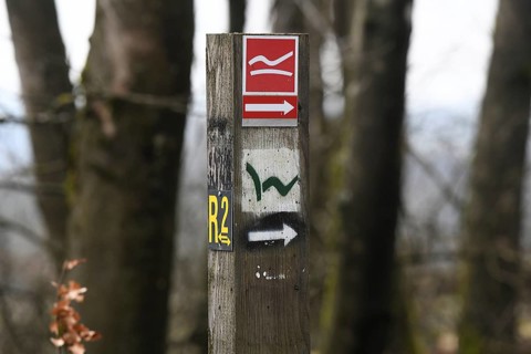 Markings for the Rothaarsteig, Westerwaldsteig and R2 hiking trails on the Fuchskaute, the highest