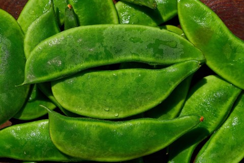 Garrofon mediterranean beans Phaseolus lunatus fresh on wood