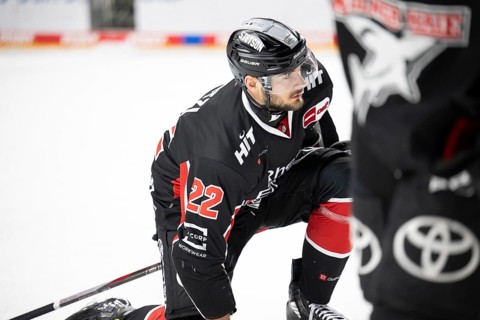 Laura Dick Cologne, LanxessArena, North Rhine-Westphalia, Maximilian Gloetzl (Cologne Sharks, #22),