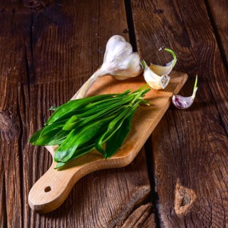 Fresh and tasty wild garlic