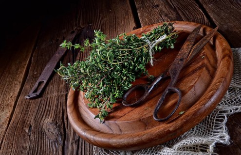 Thyme (Thymus vulgaris)