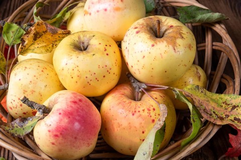 Fresh and delicious organic apples in a basket