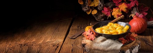 Delicious autumnal dumplings with hokkaido pumpkin puree