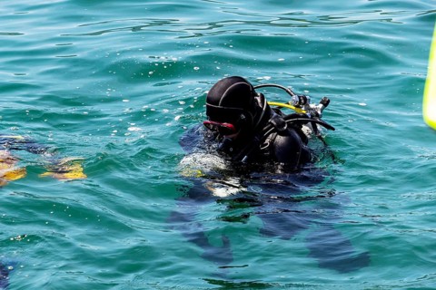 Switzerland, Zurich, rescue diver, symbol, l for rescue, help, emergency Austria, Europe