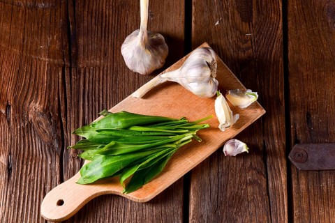 Fresh and tasty wild garlic