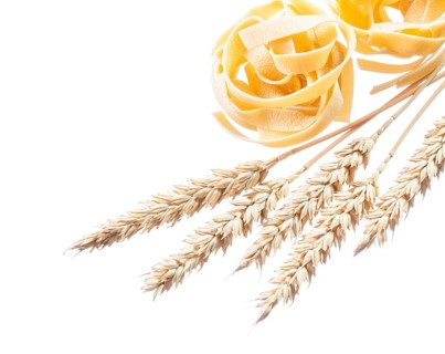 Wheat ears rolled pasta isolated on white