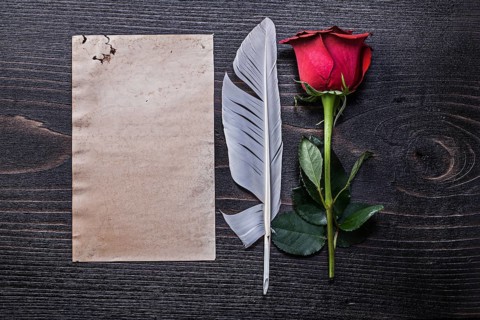 Vintage paper red natural bloomed rose plume on wooden board