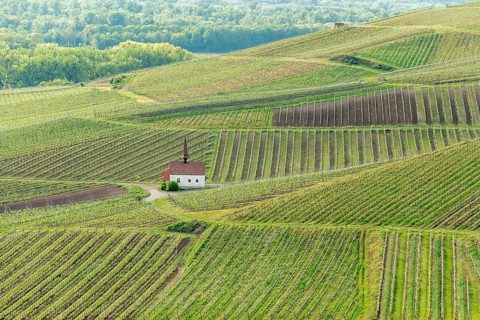 Eichert Kapelle in the vineyard in spring. Sasbach am Kaiserstuhl, Emmendingen Bade-Wurtemberg,