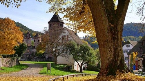 Former monastery of St Peter + Paul, Calw-Hirsau, Black Forest