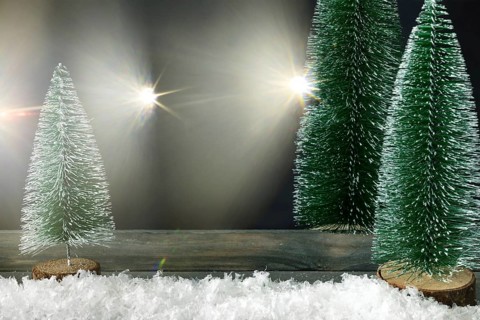 Christmas decoration background with fir trees and light flares