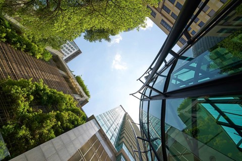 Niedriger Winkelschuss an modernen Glasgebäuden und grün mit klarem Himmel Hintergrund
