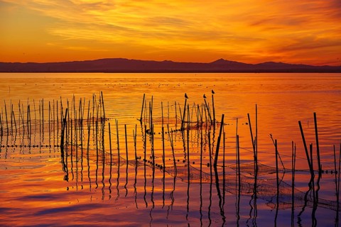 La Albufera lake sunset in El Saler of Valencia at Spain
