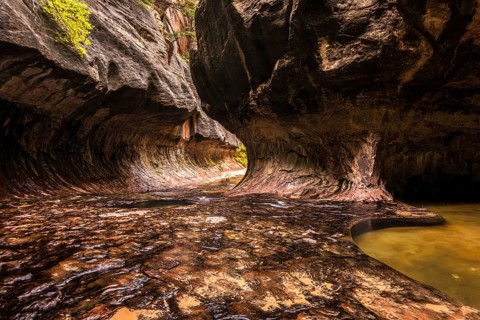 Magnificent Subway gorge landmark in the Zion National Park in Utah, USA, North America