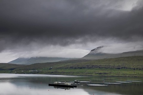 The wild landscape of the Faroe Islands