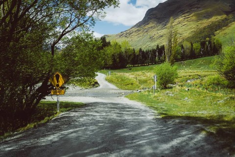 Gravel road in a rural setting with trees and signposts, Cattle Flat, Wanaka, New Zealand, Oceania