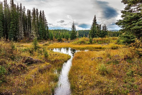 Narrow channels of a shallow lake in the forest. Autumn trip to the west of Canada. The smooth lake
