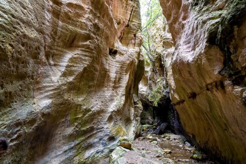 Avagas Gorge in the western part of Cyprus