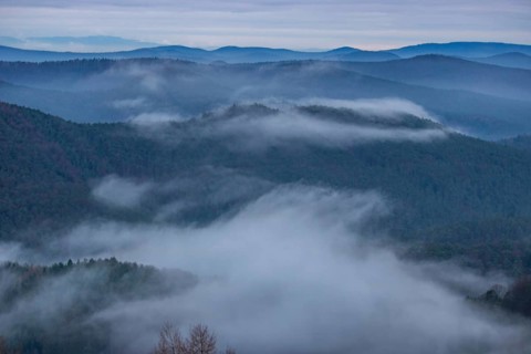 Landscape shot with cloudy sky and fog in the valley. View from a rock in the middle of forest and