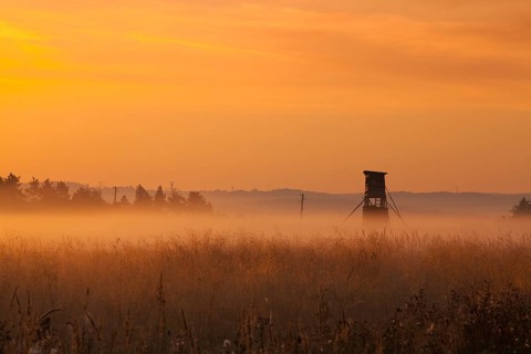 Hunting tower in the morning mist